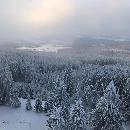 Klidne V Orlickych Horach Apartament Orličky