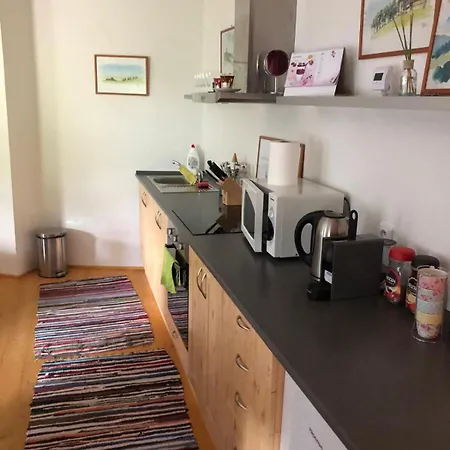 Klidne V Orlickych Horach Apartament Orličky