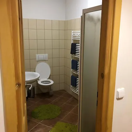 Klidne V Orlickych Horach Apartment *